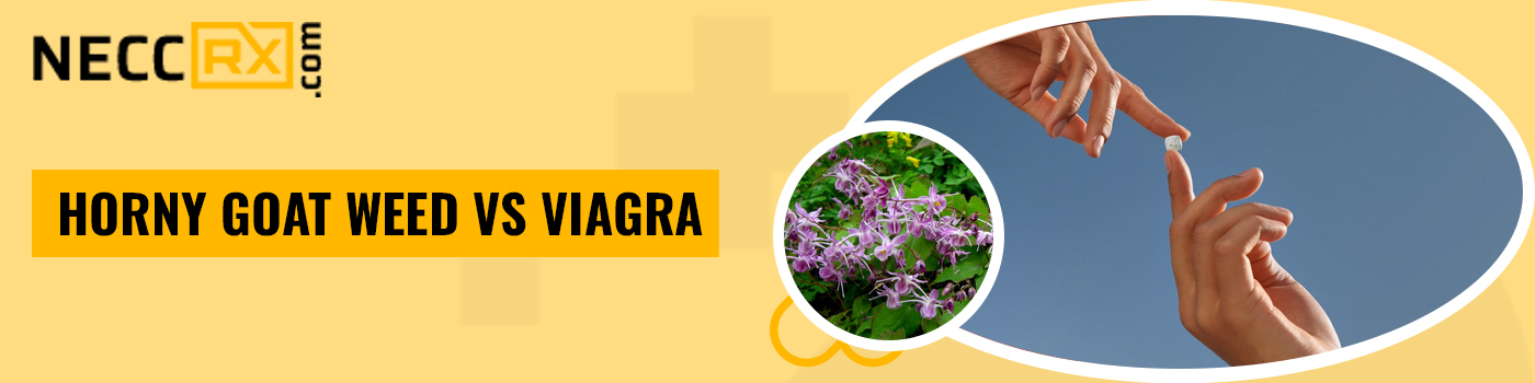 Horny Goat Weed vs Viagra
